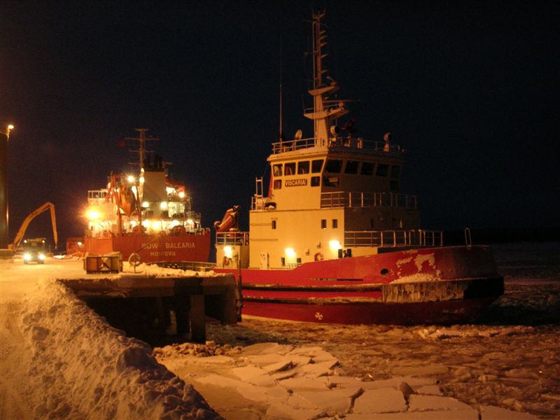 Viscaria 06-01-04.JPG
