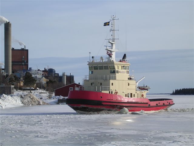 Viscaria.JPG