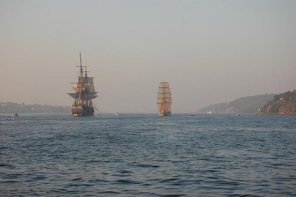 DSC_7802.JPG