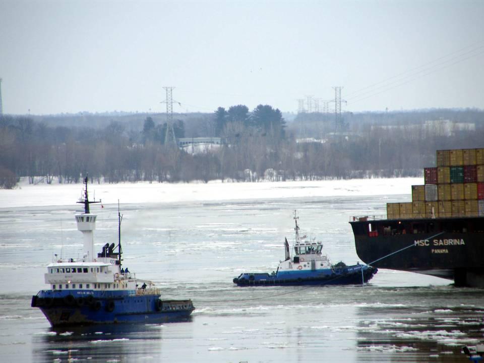 disaster2008_MSC_Sabrina30.jpg