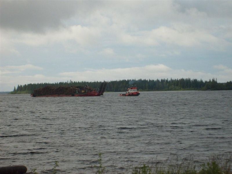 Eol Carrier 2.jpg