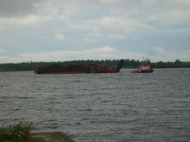 Eol Carrier 2 (1).jpg
