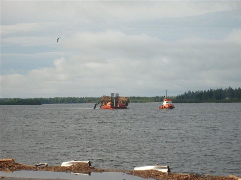Eol Carrier 2 (2).jpg