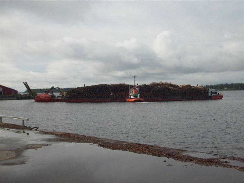 Eol Carrier 2 (6).jpg