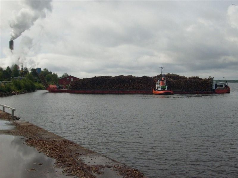 Eol Carrier 2 (7).jpg