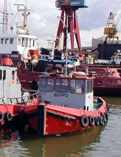 Seppo