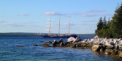 sv Caledonia (mobilkamera)