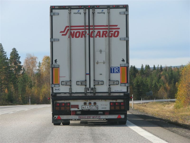 Älg.jpg