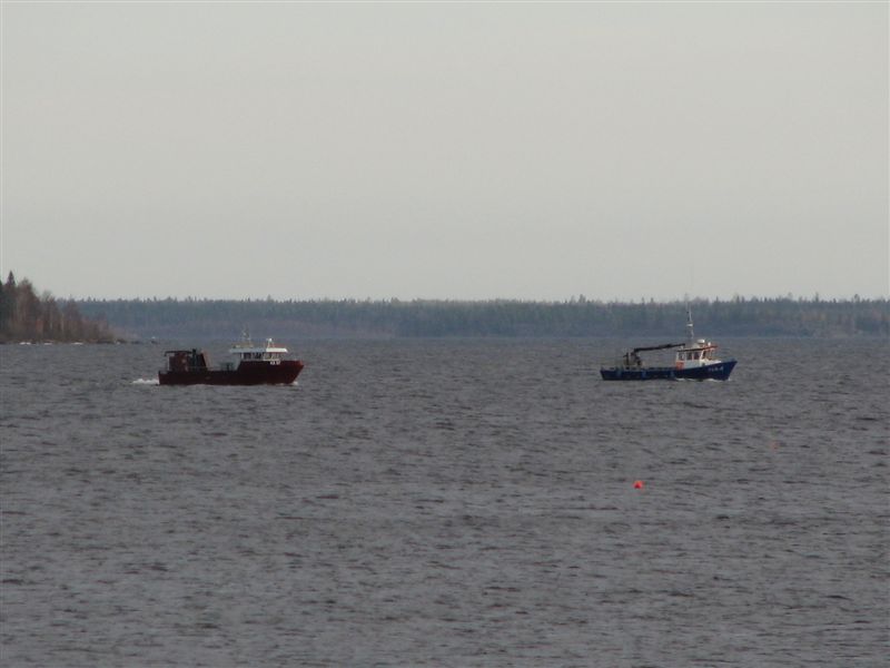 Löjfiske (2).jpg