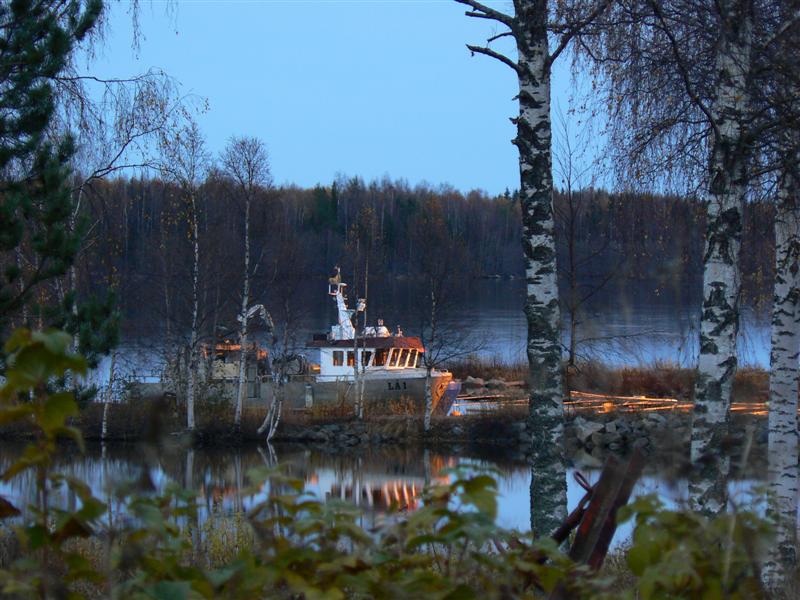 P1120357 (Medium).JPG