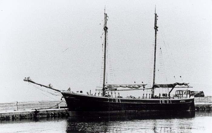 3162 Gerda av Brandstorp.jpg