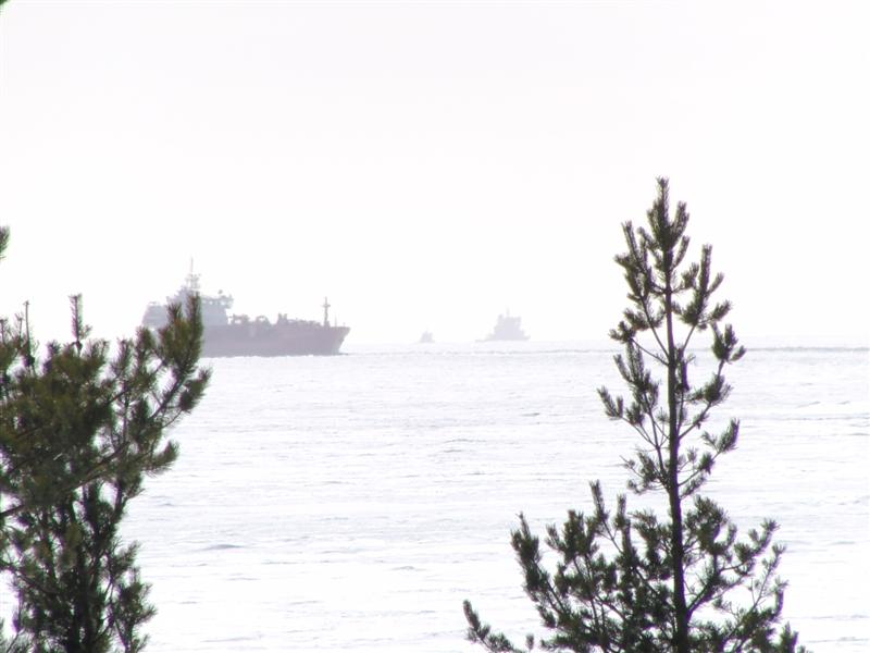 Viscaria , aramanto och Atle