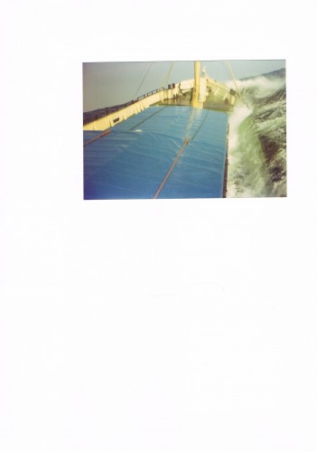 CCF20090416_00001.jpg