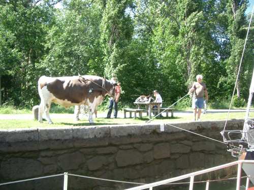 kanaloxe.jpg