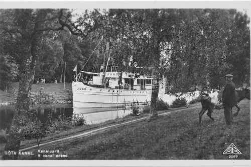 SS Juno passerar genom terränglådan kogubbe.jpg