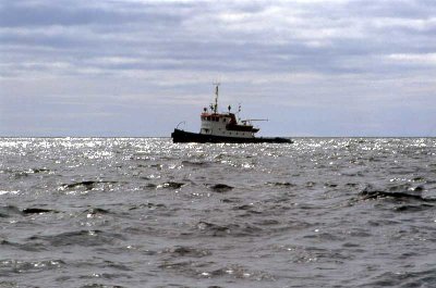 Bogs1990.jpg (39.71 KiB) Viewed 6093 times 1990