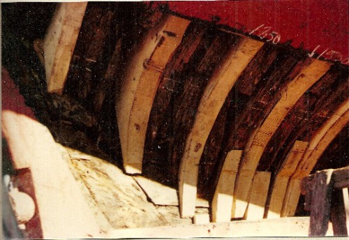 hppg001.jpg
