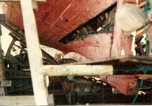 hppg001.jpg