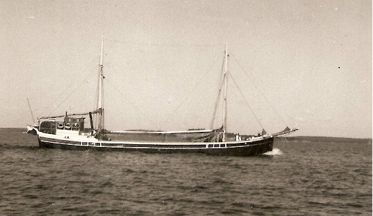 hppg001.jpg