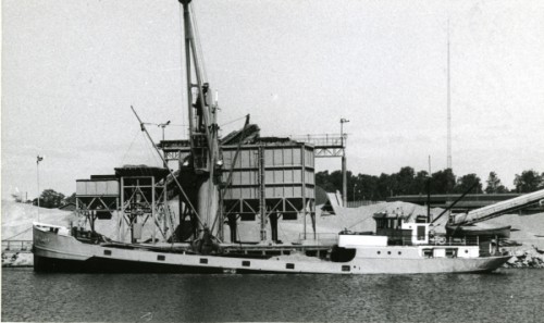 Chrysant lossar sand i Helsingfors 1975.jpg