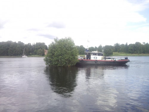 årås knuffar en ö på rymmen, forsvik