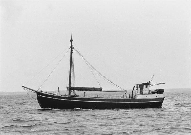 8153  Althea, Vänersborg.jpg