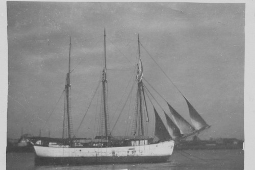 5324 SLIM Fride av Höganäs b 1912 Viken.jpg