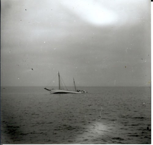 skanna0002.jpg