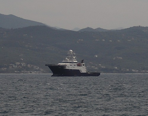 Petrel 9268629 4041.JPG