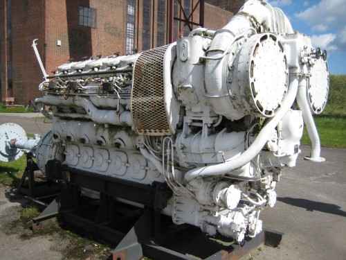 p5.jpg