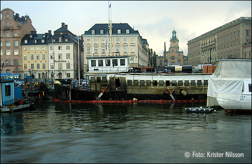 bild.jpg